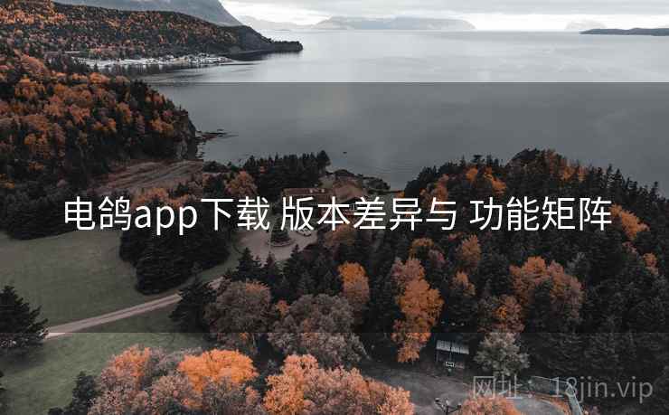 电鸽app下载 版本差异与 功能矩阵 电鸽app下载 版本差异与 功能矩阵