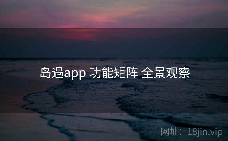 岛遇app 功能矩阵 全景观察 岛遇app 功能矩阵 全景观察